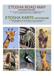 ETOSHA KARTE mit Fotogalerie: Ihr kompletter Reise- und Wildtierf&uuml;hrer. Alles, was Sie f&uuml;r eine unvergessliche Safari im Etosha-Nationalpark (Namibia) brauchen