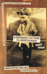 A Supposedly Fun Thing Ill Never Do Again: Essays and Arguments
