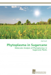 Phytoplasma in Sugarcane: Molecular Analysis of Phytoplasmas in Sugarcane Plants