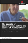 The secrets of collaboration: behind the scenes at Audioproth&egrave;se: Tales of collaboration and professionalism behind the success of the hearing aid profession