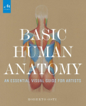 Basic Human Anatomy: An Essential Visual Guide for Artists