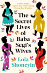 The Secret Lives of Baba Segis Wives
