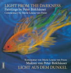 Licht aus dem Dunkel / Light from the Darkness: Malerei von Peter Birkh&auml;user / Paintings by Peter Birkh&auml;user