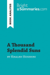 A Thousand Splendid Suns by Khaled Hosseini (Book Analysis): Detailed Summary, Analysis and Reading Guide