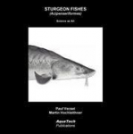 Sturgeon Fishes (Acipenseriformes): Science as Art