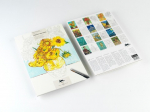 Vincent van Gogh: Artists Colouring Book