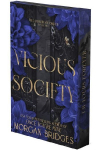 Vicious Society: A Dark Romance