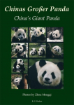 Chinas Gro&szlig;er Panda. Chinas Giant Panda