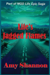 Lifes Jagged Flames