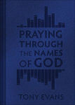 Praying Through the Names of God (Milano Softone)