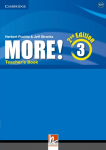 More! Level 3 Teachers Book
