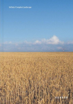 Yoshie Itasaka: Infinity Complex Landscape
