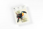 Tropical Birds: Writing Paper & Note Pad A5