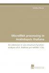 MicroRNA processing in Arabidopsis thaliana: An extensive in vivo structure-function analysis of A. thaliana pri-miRNA 172a