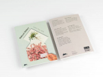 Natural History: Creative Paper Book