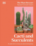 Cacti and Succulents: The Plant Rescuers On-point Advice to Keep Your Plants Looking Sharp