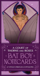 A Court of Thorns and Roses Official Bat Boy Notecards: 12 Winged Embraces & Envelopes--from the ACOTAR Collection