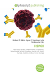 HSP60: Heat shock protein, Mitochondrion, Chaperonin, Mitochondrial matrix,    Cytoplasm, Amino acid, GroEL, Bacteria, Diabetes mellitus, Stress    (biology)