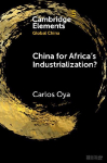 China for Africas Industrialization?