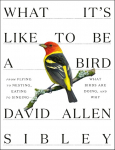 What Its Like to Be a Bird: From Flying to Nesting, Eating to Singing--What Birds Are Doing, and Why