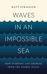Waves in an Impossible Sea: How Everyday Life Emerges from the Cosmic Ocean