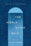 The World After Rain: Annes Poem