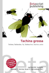 Tachina grossa: Tachina, Tachinidae, Fly, Tachina fera, Tachina ursina