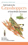 Field Guide to the Grasshoppers and Allies of Great Britain and Ireland: Grasshoppers, Crickets, Earwigs, Cockroaches, Mantids and Stick-insects