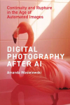 Digital Photography After AI: Continuity and Rupture in the Age of Automated Images