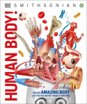Knowledge Encyclopedia Human Body!: Human Anatomy as Youve Never Seen It Before