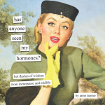 Has Anyone Seen My Hormones?: And Other Hot Flashes of Wisdom from Menopause and Midlife