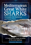 Mediterranean Great White Sharks: A Comprehensive Study Including All Recorded Sightings