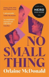No Small Thing: One of the best debut novels Ive read in recent years Bernardine Evaristo