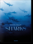 Michael Muller. Sharks: Face-to-Face with the Oceans Endangered Predator
