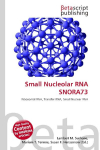 Small Nucleolar RNA SNORA73: Ribosomal RNA, Transfer RNA, Small Nuclear RNA