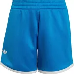 ADIDAS poiste klassikalised l&uuml;hikesed p&uuml;ksid
