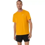 ASICS Core T-s&auml;rk