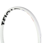 TECNIFIBRE t-fight 295 iso racquet (295 gr)