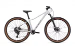 Jalgratas - CTM Charisma 3.0 29"