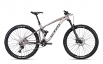 Jalgratas - CTM Scroll AM Xpert 29"