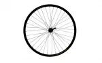 Esiratas 28" - Shining MT-66 QR