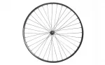 Esiratas 28" - Shining 7X NUT