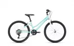Jalgratas - CTM Mony 24"