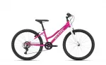 Jalgratas - CTM Mony 24"