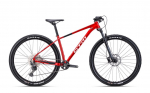 Jalgratas - CTM Rascal 2.0 29"