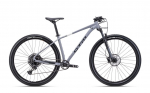 Jalgratas - CTM Rascal 1.0 29"