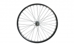 Esiratas 16" - Shining 7A Nut