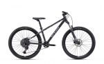 Jalgratas - CTM Rocky Race 26"