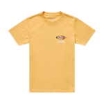 Laste l&uuml;hikeste varrukatega T-s&auml;rk - Troy Lee Designs Feathers, pleegitatud melon, XL