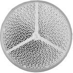 K&uuml;lma &otilde;hu mask - Airtrim Sport (sport+racing 1), valge